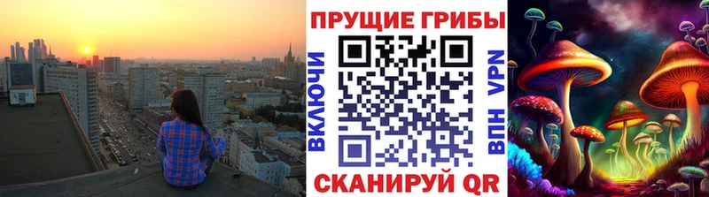 Галлюциногенные грибы Cubensis  дарк нет наркотические препараты  Буйнакск 