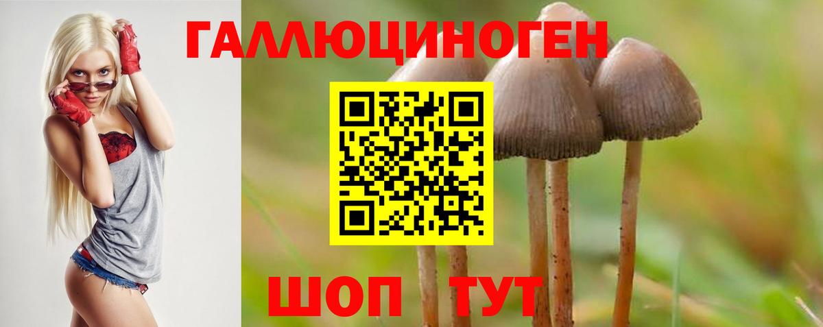 Галлюциногенные грибы ЛСД  Вход с VPN  Псилоцибиновые грибы GOLDEN TEACHER  Буйнакск 